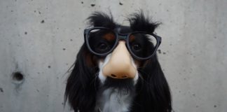 Aprilskämt – 16 Roliga första-april-skämt att luras med! aprilskämt