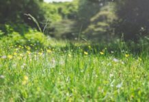 Trädgård i nivåer – 3 projekt för att få ut det mest av den trädgård i nivåer