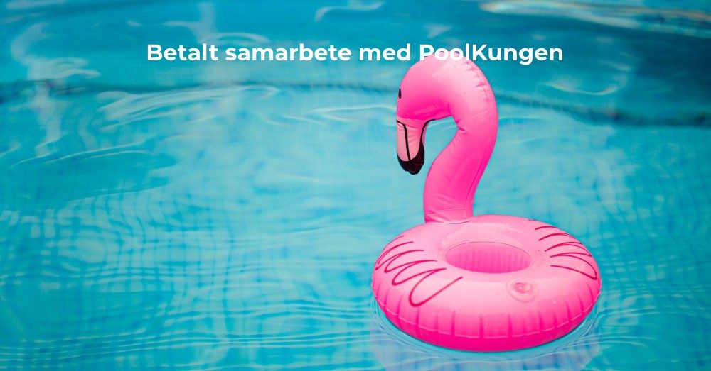 fördelar med egen pool rosa flamingo