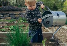 Skapa en trädgård barnen älskar att leka i! planera trädgård för barn